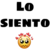 LO
SIENTO