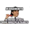 AY BISCOCHITO
NO MUEVAS LA JAULA
PORQUE INQUIETAS AL PAJARITO