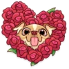 Dogs Memes 27