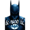 BATMAN PRO 29