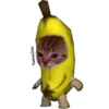 केले की बिल्ली 14