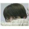 te ando wachando prro