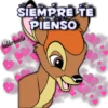 SIEMPRE TË
PIENSO
hadderbonilla