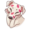 Dogs Memes 28