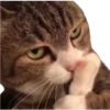 Animales (2) 27