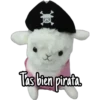 Tas bien pirata.