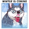Dogs Memes 29