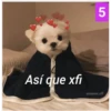 Secuencias de perritos  3 29