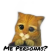 ME PERDONAS?