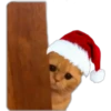 Memes Navideños  3 29