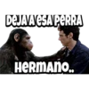 PLANETA DE LOS SIMIOS 5