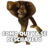 Madagascar 1 6