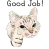 Cat Talk 5