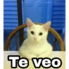 Te veo