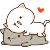 CatsForLety 5