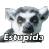 Animales 5