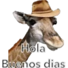 Animales 6