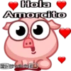 Hola
Amorcito
+5wGrillowe