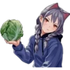 FKEY art 7
