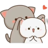 CatsForLety 6