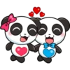 Panditas enamorados 7