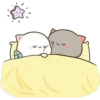 CatsForLety 7