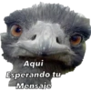 Animales 7