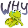 Kermit The Frog ✾ [✓] 8