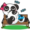 Panditas enamorados 9