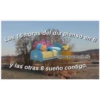 Pocoyo Frases 2 6