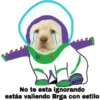 perritus beibes 6