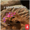 Secuencias de perritos 8