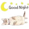 Cat Talk 7
