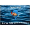 Pocoyo Frases 2 7