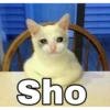 Sho