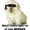 Haré como que no
vi esa MIERDA
