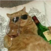 Animales cools 9