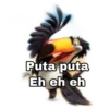 Puta puta Eh eh eh