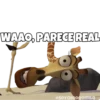 Madagascar 1 8