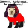perritus beibes 7