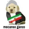 perritus beibes 9