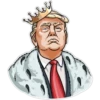 Mr. Trump 1 7