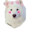 Hearts 7
