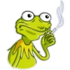 Kermit The Frog ✾ [✓] 12