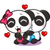 Panditas enamorados 11