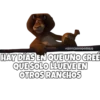 Madagascar 1 10