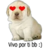 Vivo por ti bb :)