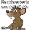 Mequieres ver la
cara de Estüpida