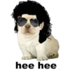 perritus beibes 10