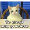 Te crees
muy gracioso
